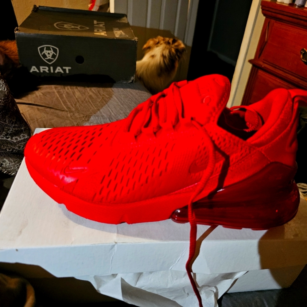 Nike air max 270